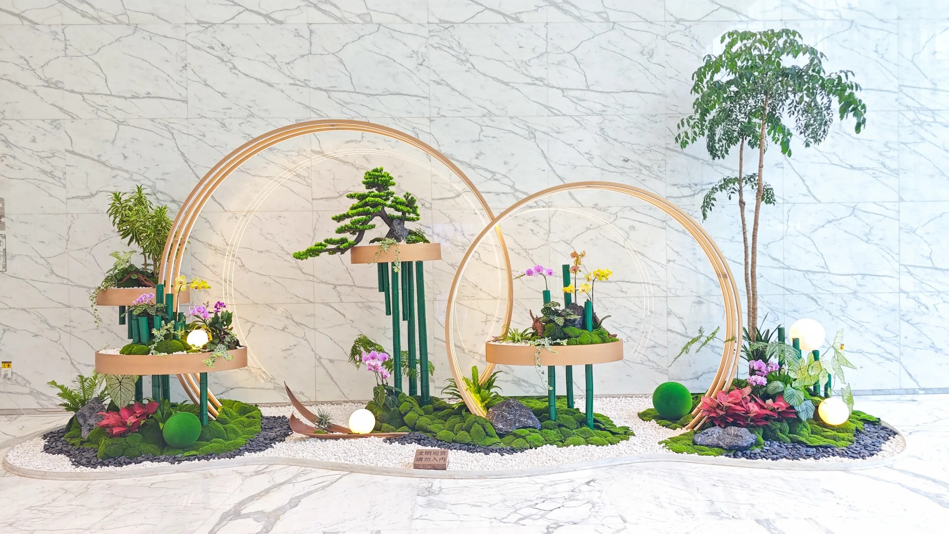 专业花卉出租，为杭州湾增添一抹绚丽色彩